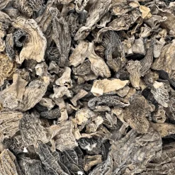 Dried Traiteur Morel 500g