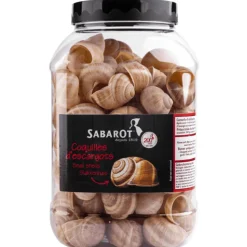 Sabarot Helix Snail Shells x 96