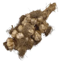 Smoked Arleux Garlic Braid 1kg COMING SUMMER 2025