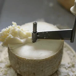 Tete de Moine 800g +/- 10% & Boska Cheese Curler with Dome